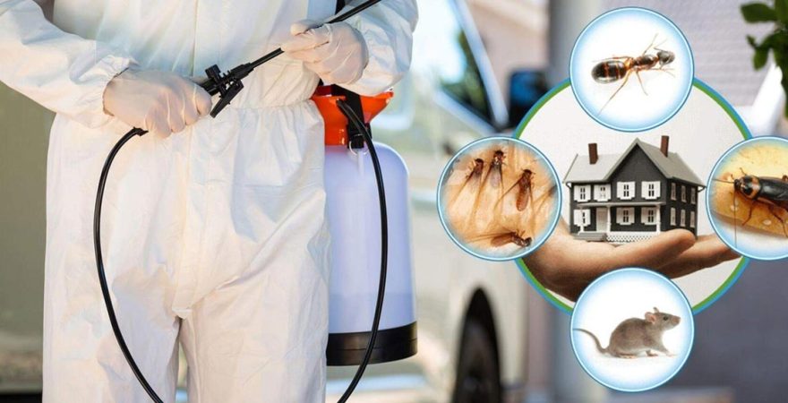 Halfeti Böcek İlaçlama