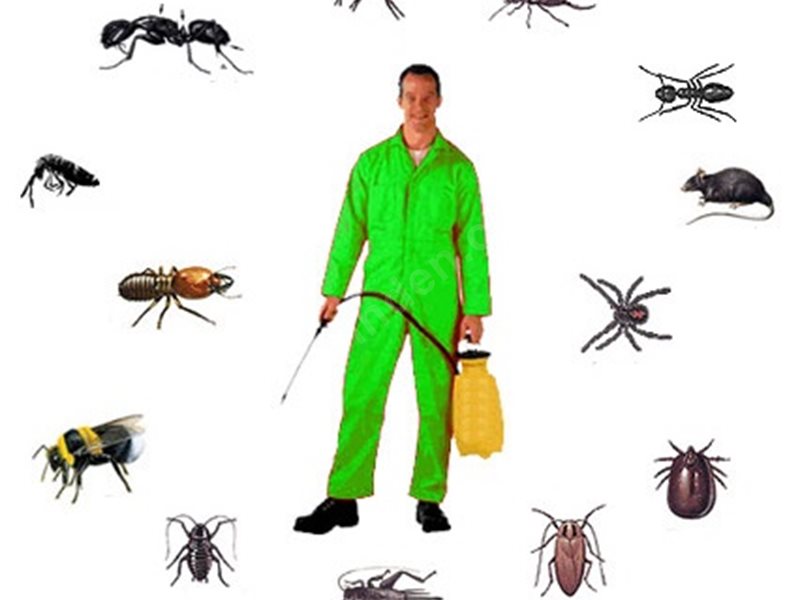 Halfeti Böcek İlaçlama